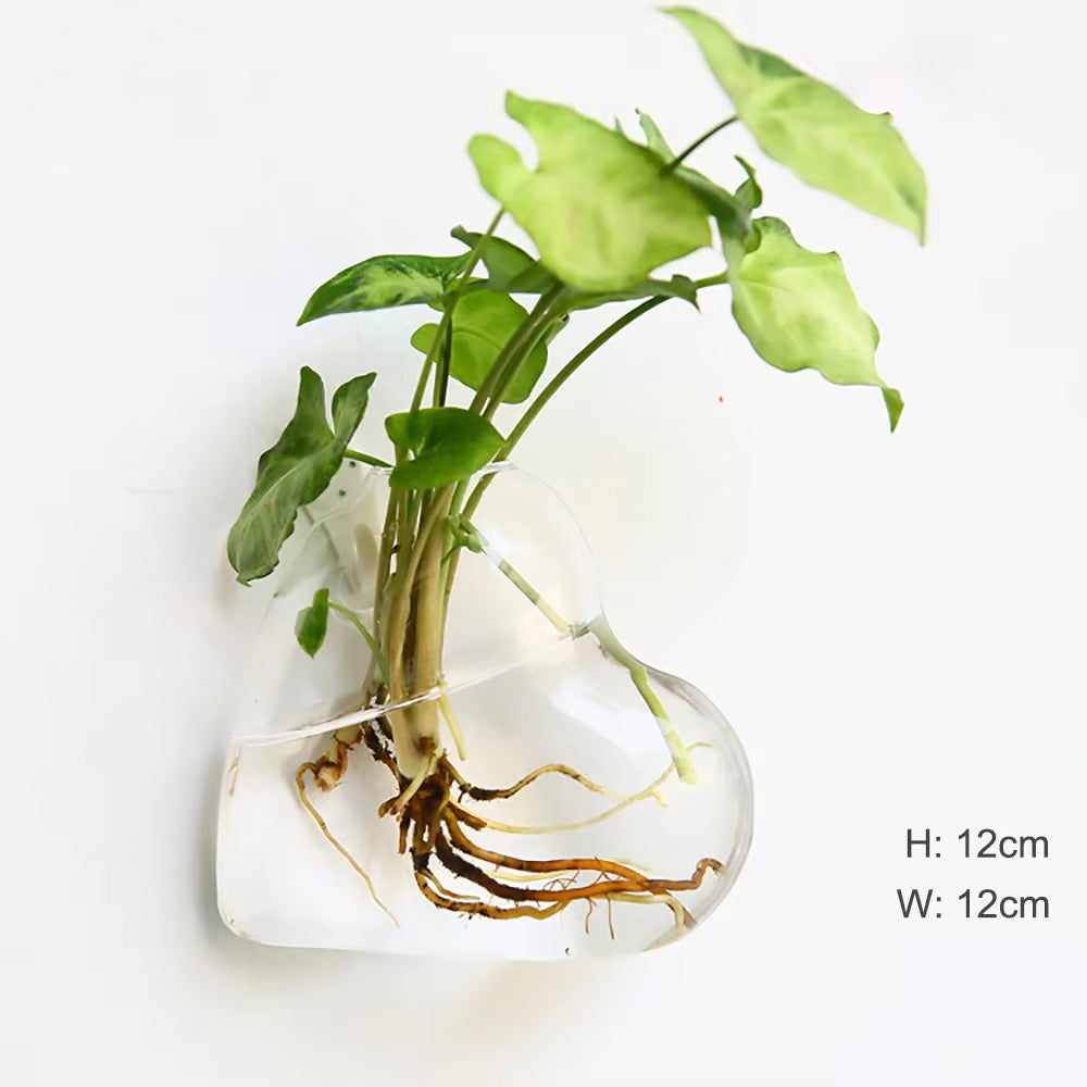  Hanging Flower Vase 
