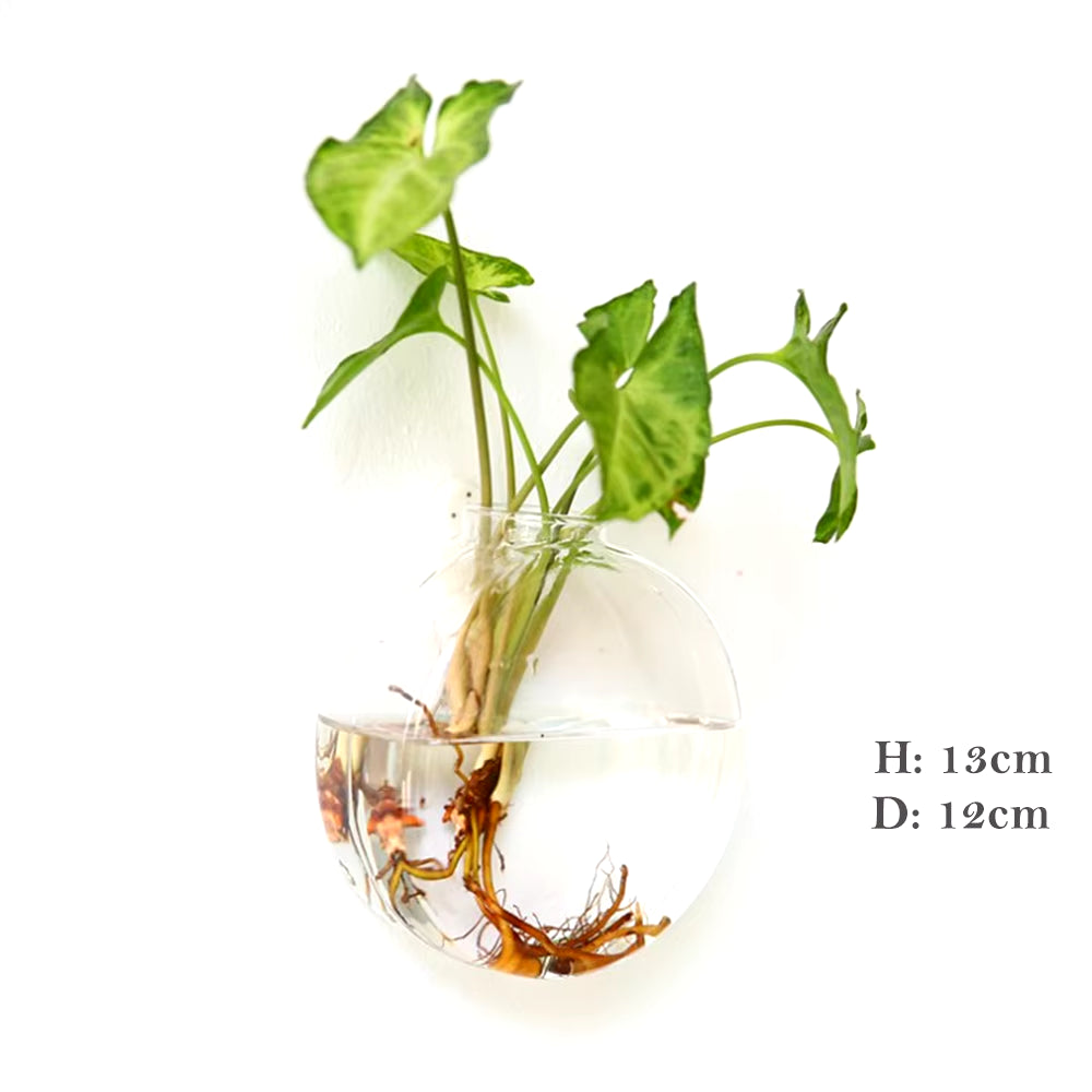  Hanging Flower Vase 