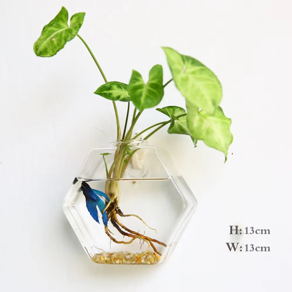  Hanging Flower Vase 